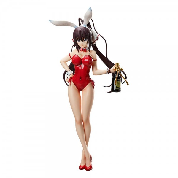 IS (Infinite Stratos) - Houki Shinonono Statue / Bare Leg Bunny Version: FREEing