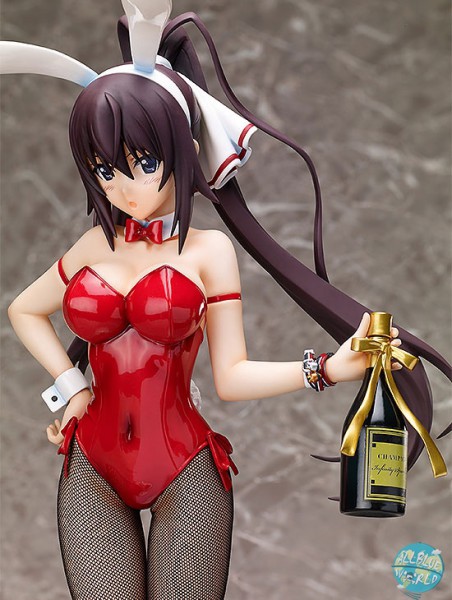 IS (Infinite Stratos) - Houki Shinonono Statue - Bunny Ver.: FREEing