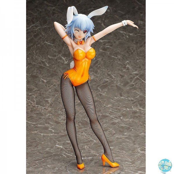 IS (Infinite Stratos) - Tatenashi Sarashiki Statue - Bunny Version: FREEing