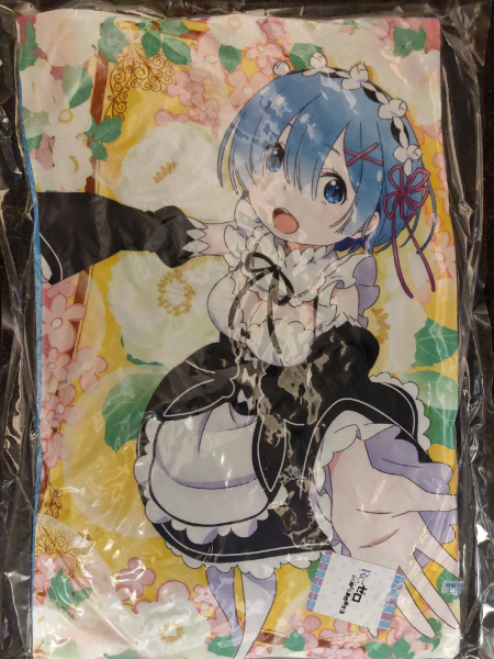 Re:Zero Starting Life in Another World - Rem Kissen: Sega