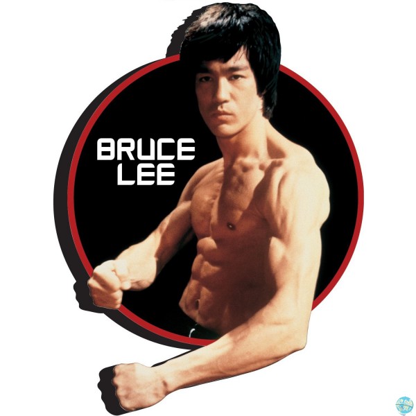 Bruce Lee Magnet Aquarius