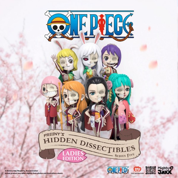 One Piece - Blind Box Hidden Dissectibles Series 05 (Ladies ed.): Mighty Jaxx