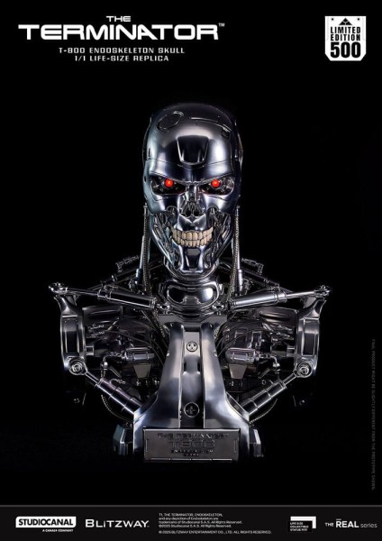 Terminator - T-800 Endoskeleton Skull Life-Size Büste / The Real Series: Blitzway